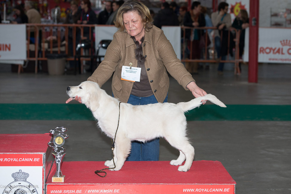 gal/Expo_janvier_2015/2015-02-27 13.32.00-1.jpg